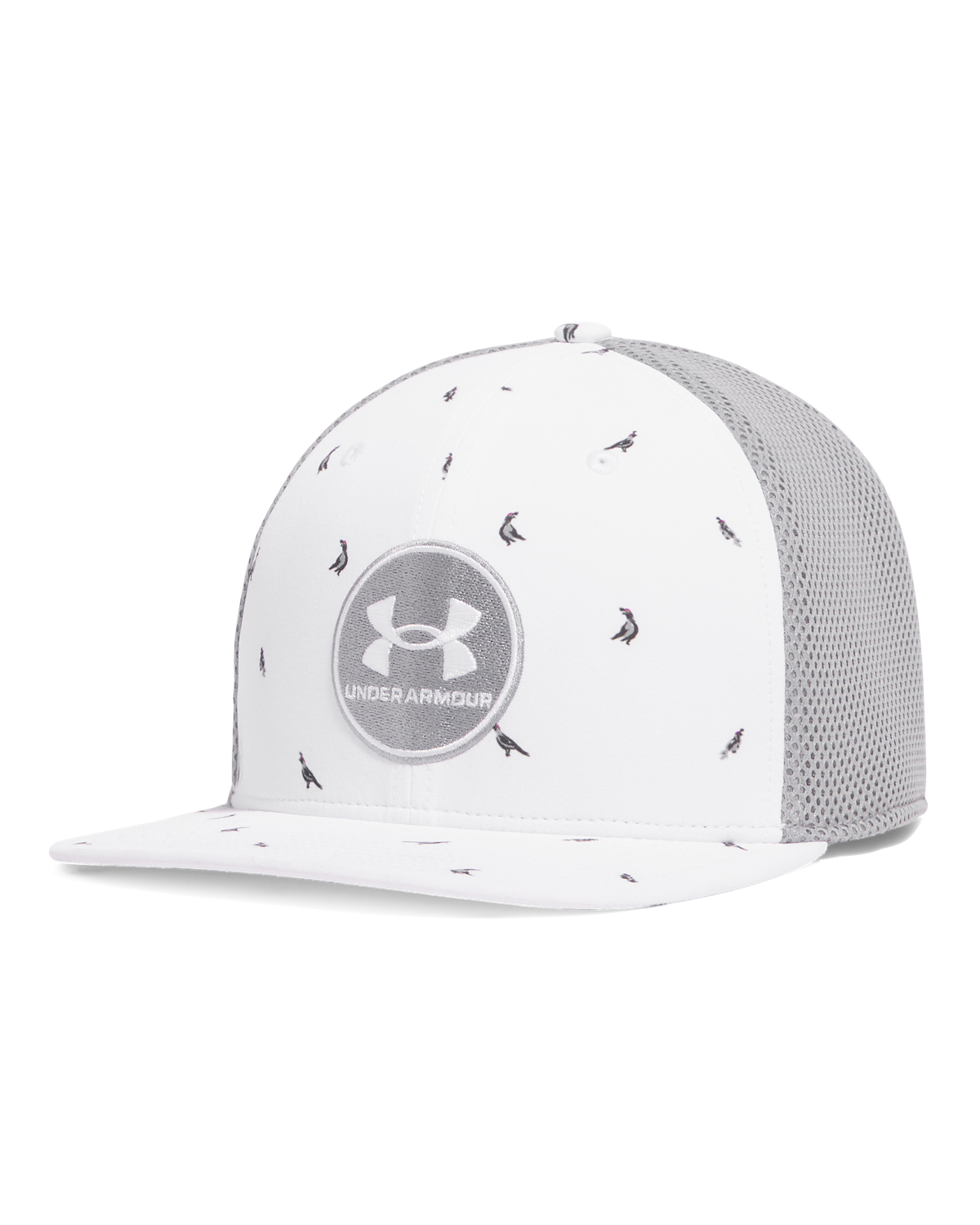 Men's UA Iso-Chill Drive Low Stretch Fit Cap