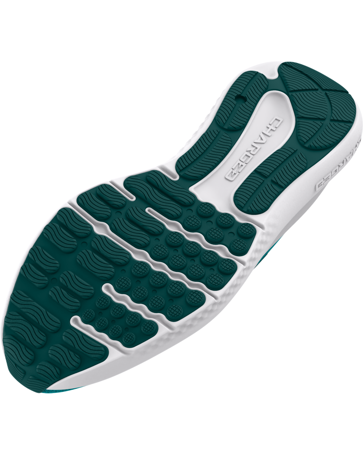 Men's UA Charged Surge 4 Running Shoes