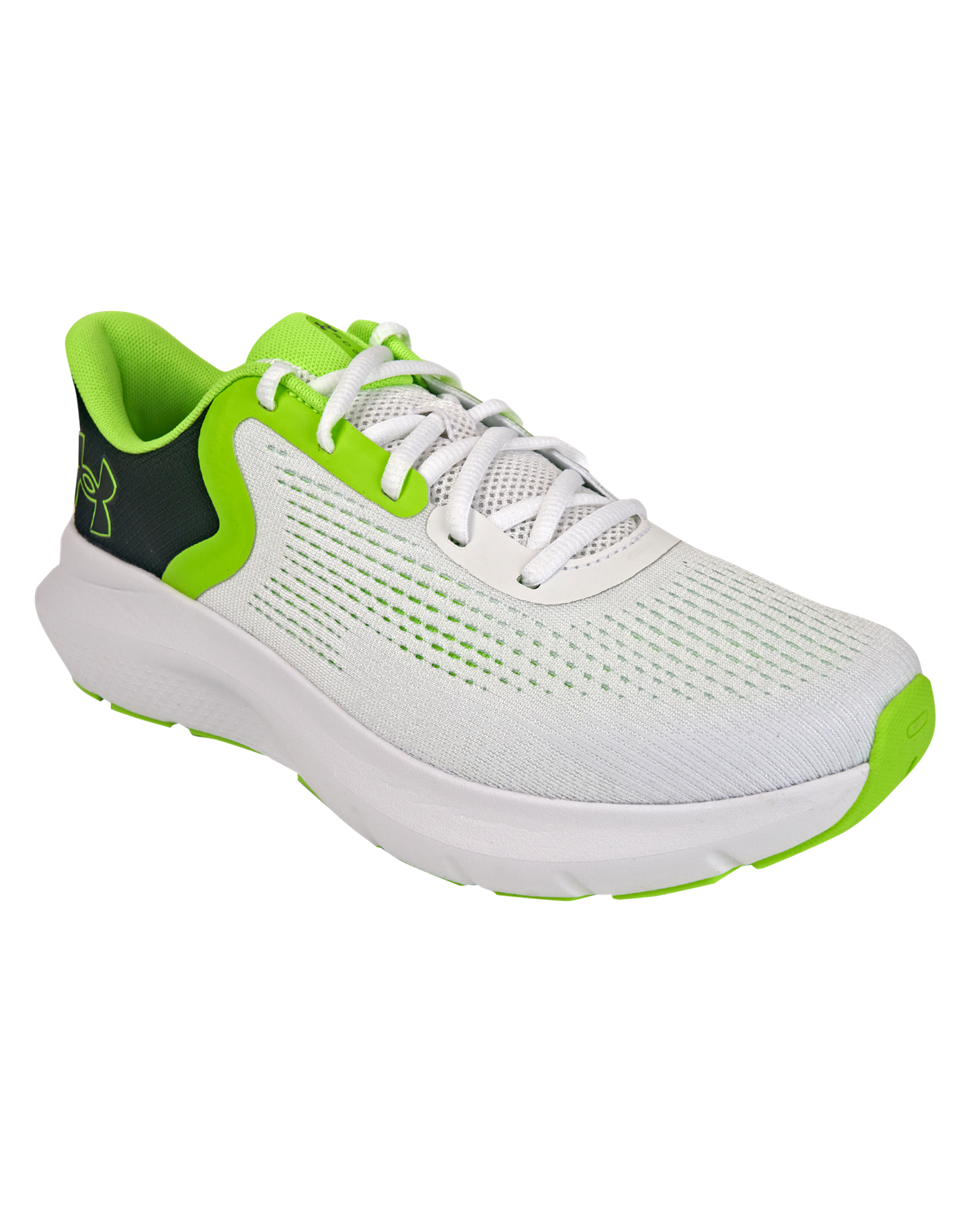 Men's UA Rogue 5 Running Shoes