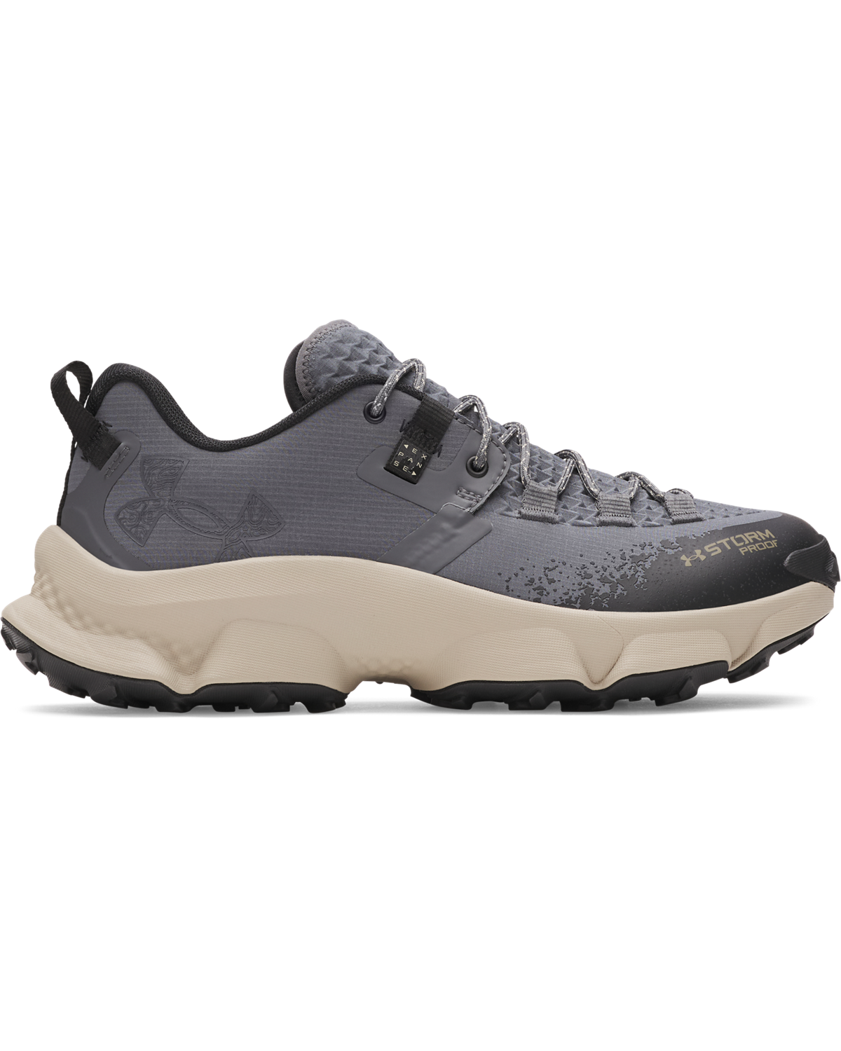 Men's UA Expanse Low Waterproof Running Shoes