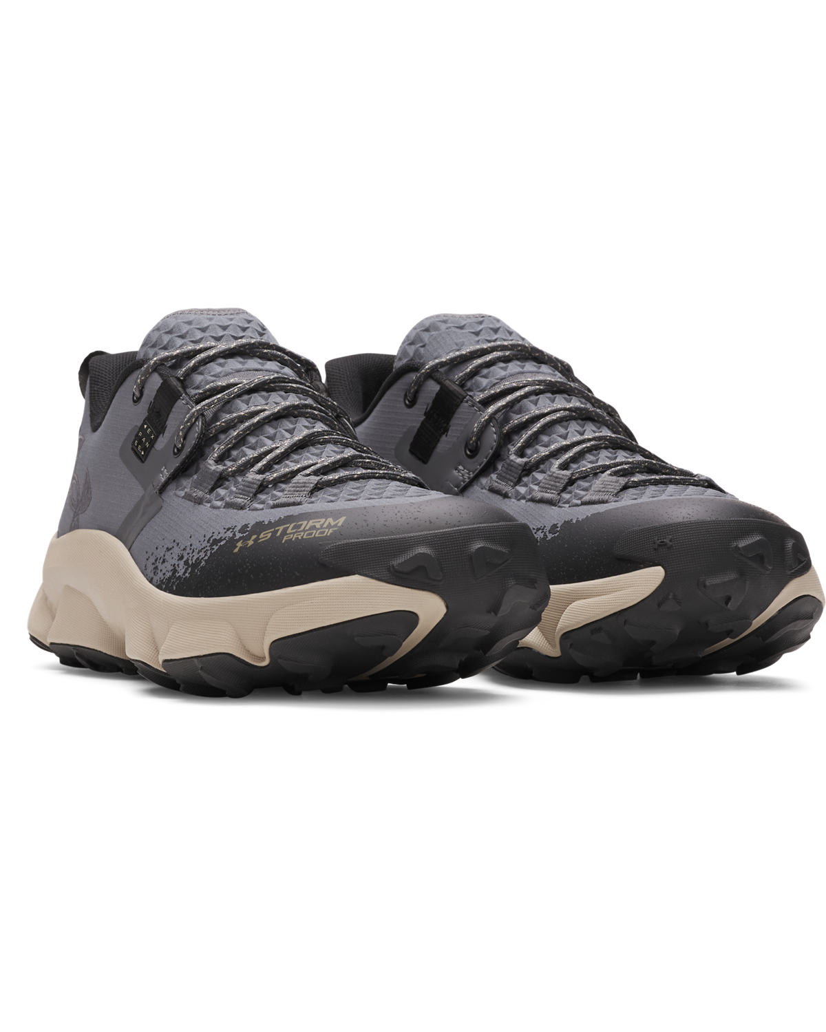 Men's UA Expanse Low Waterproof Running Shoes