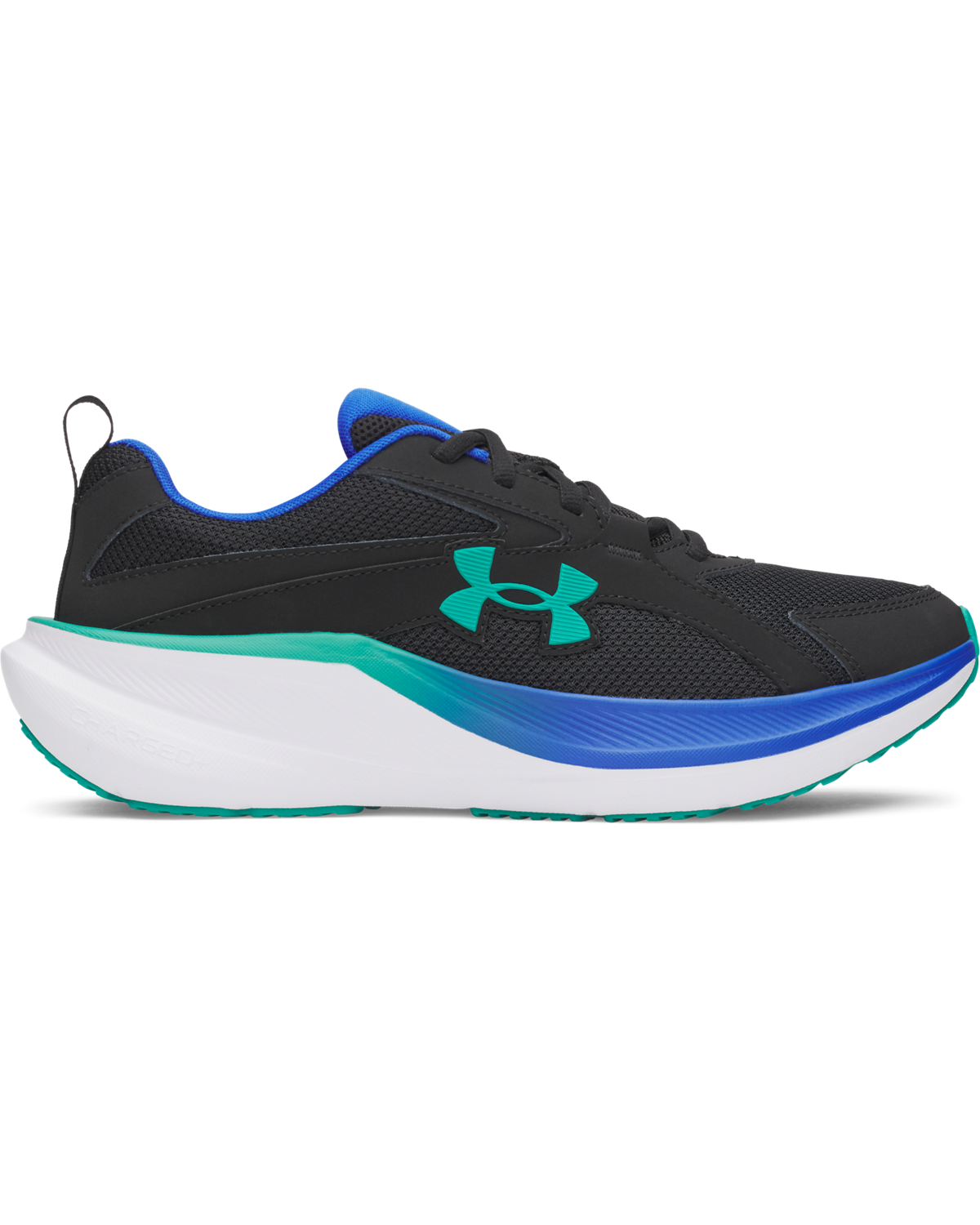 Men's UA Assert 11 Running Shoes