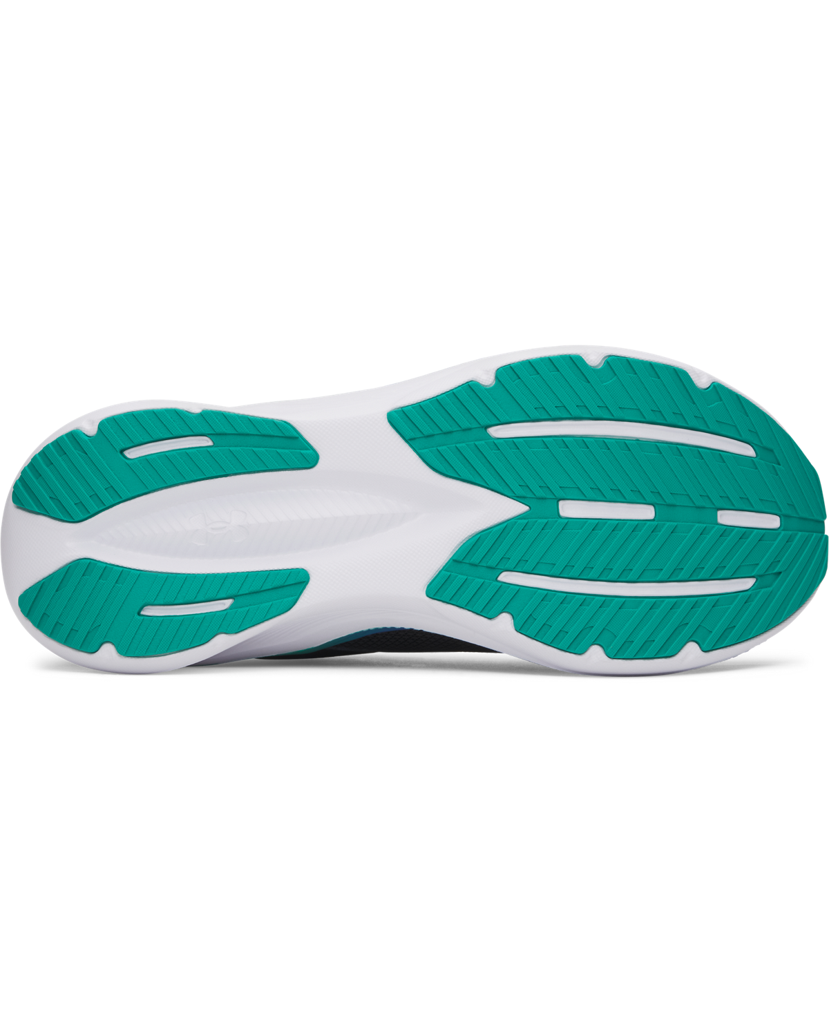 Men's UA Assert 11 Running Shoes