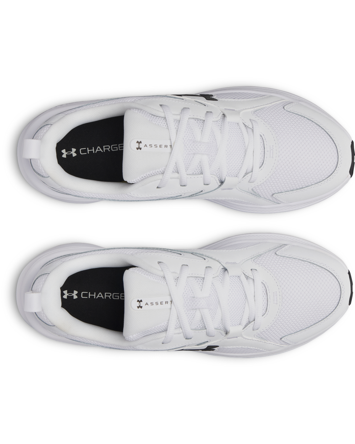 Men's UA Assert 11 Running Shoes