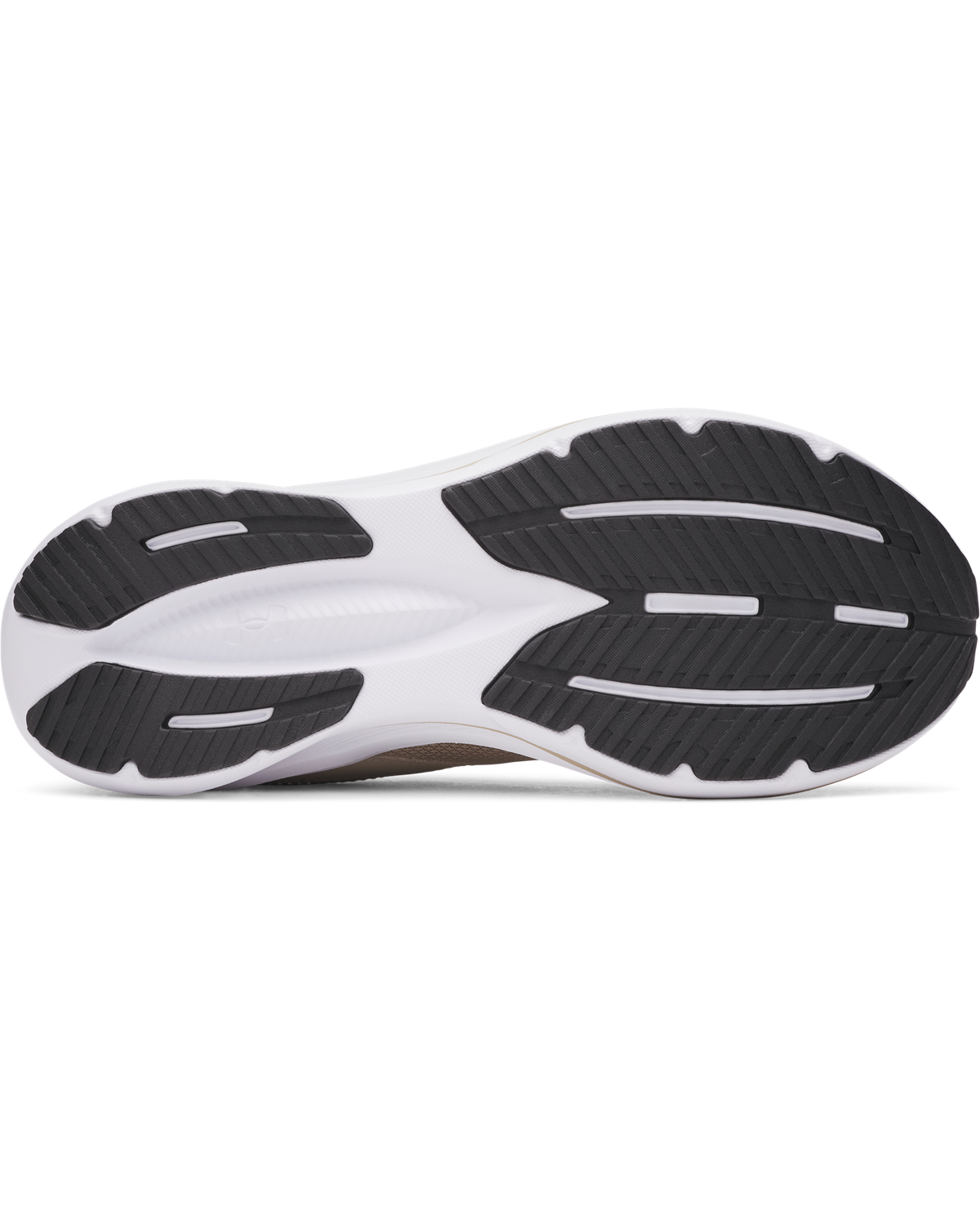 Men's UA Assert 11 Running Shoes