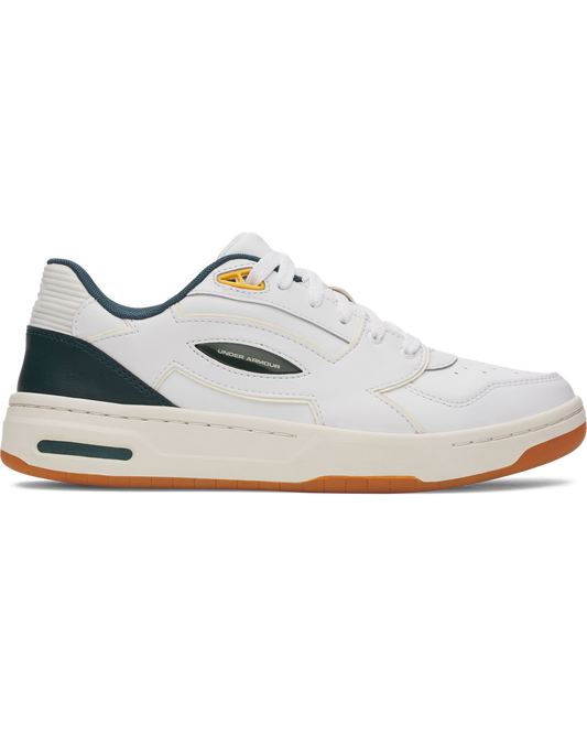Men's UA Flex Shoes
