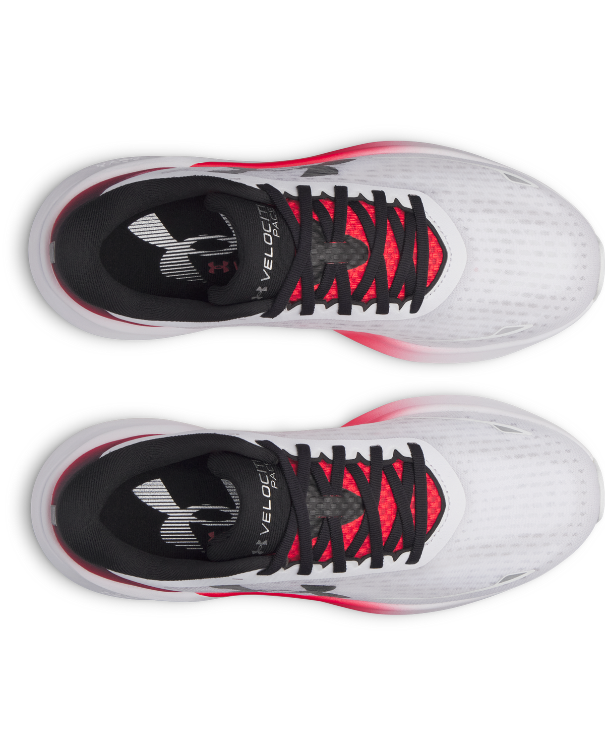 Men's UA Velociti Pace Running Shoes