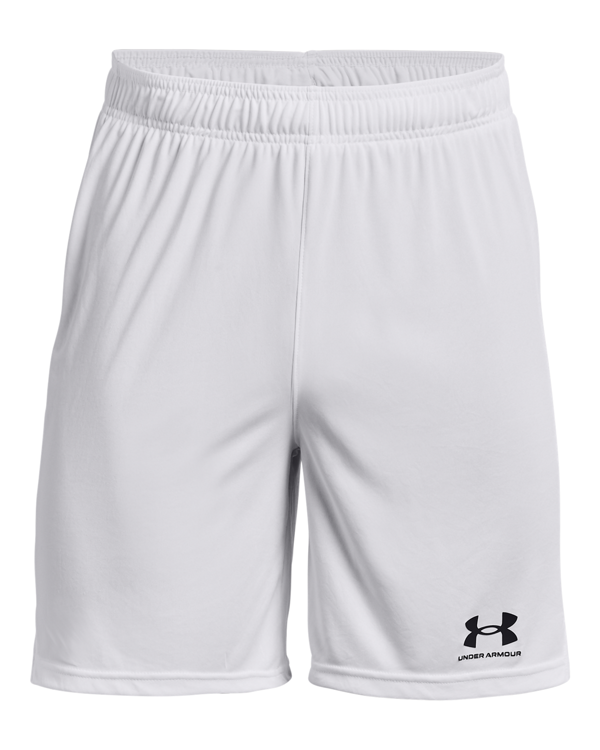 Men's UA Challenger Core Shorts