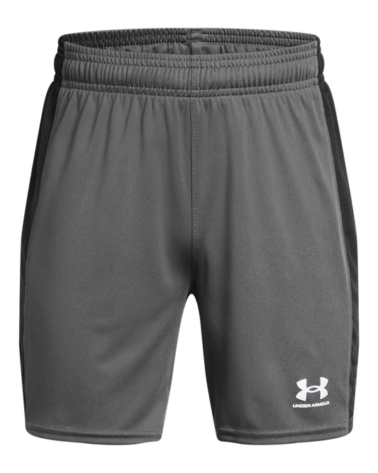Boys' UA Challenger Knit Shorts