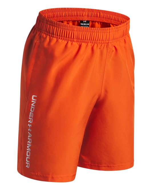 Boys' UA Tech™ Woven Wordmark Shorts