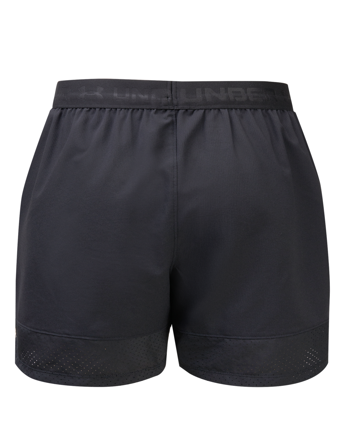 Men's Vanish Wordmark Shorts