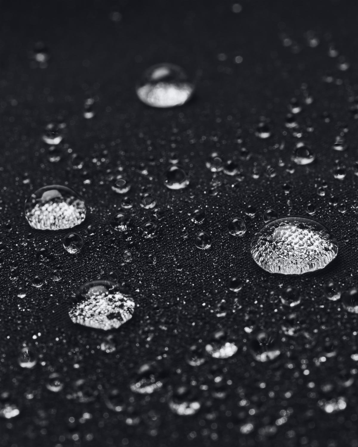 Women's UA Drive 7inch Shorts