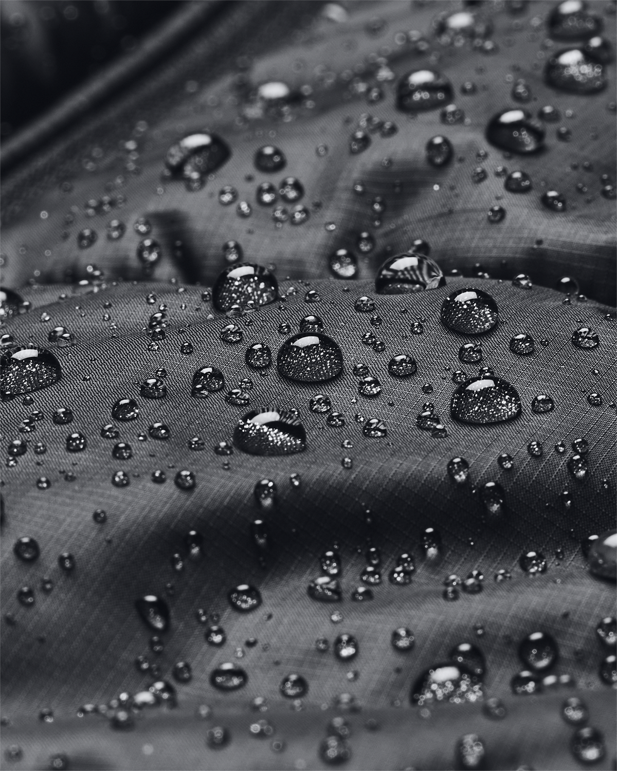 Women's UA Lightweight Insulated Jacket