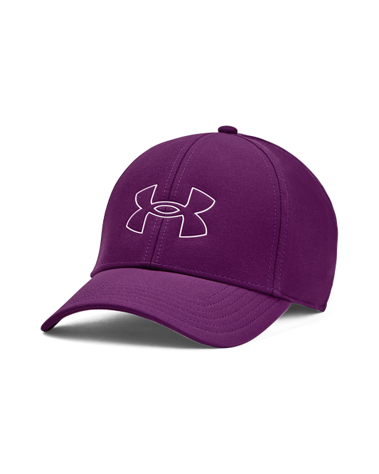 Men's UA Storm Driver