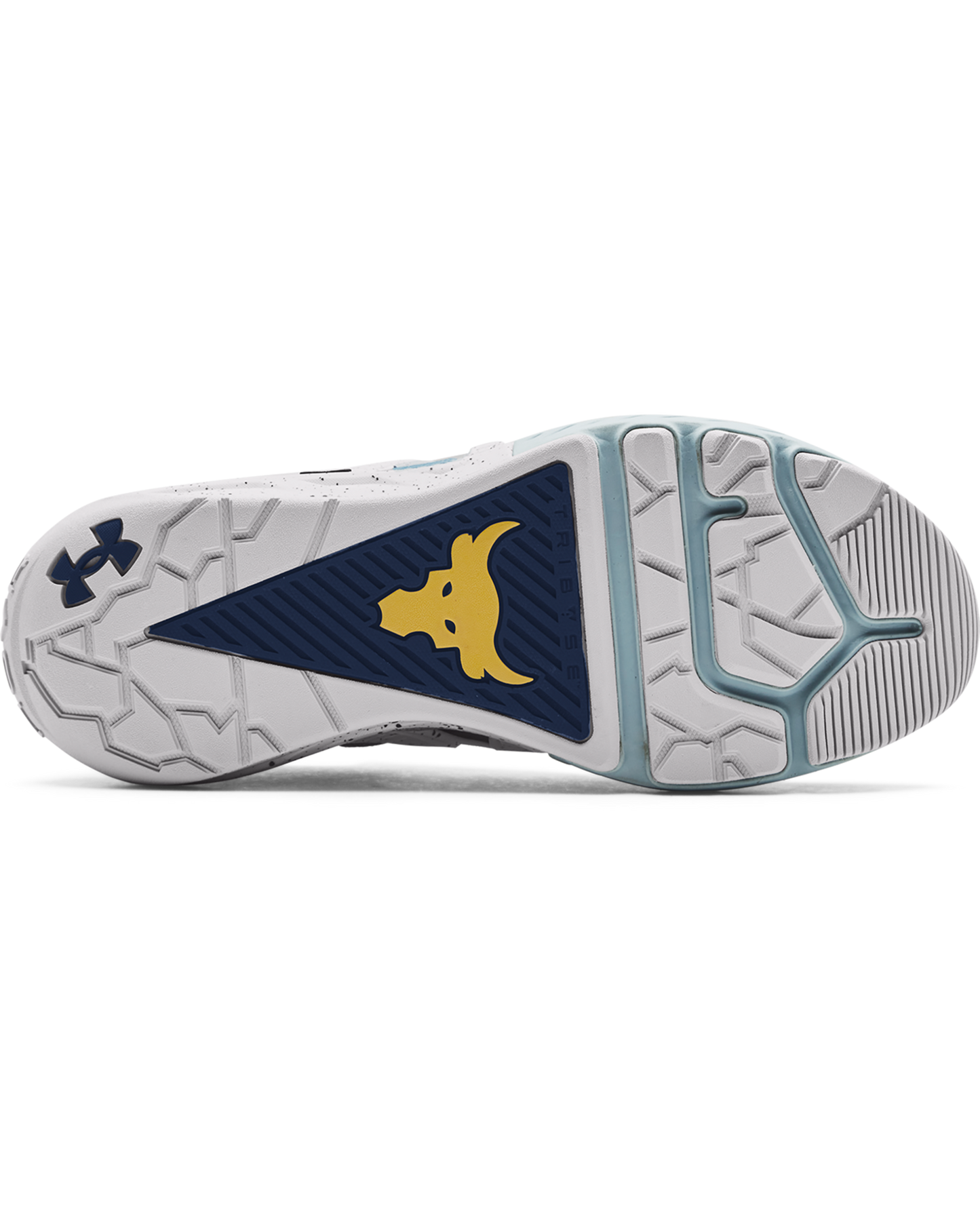 Men's Project Rock 4 Team Rock Training Shoes