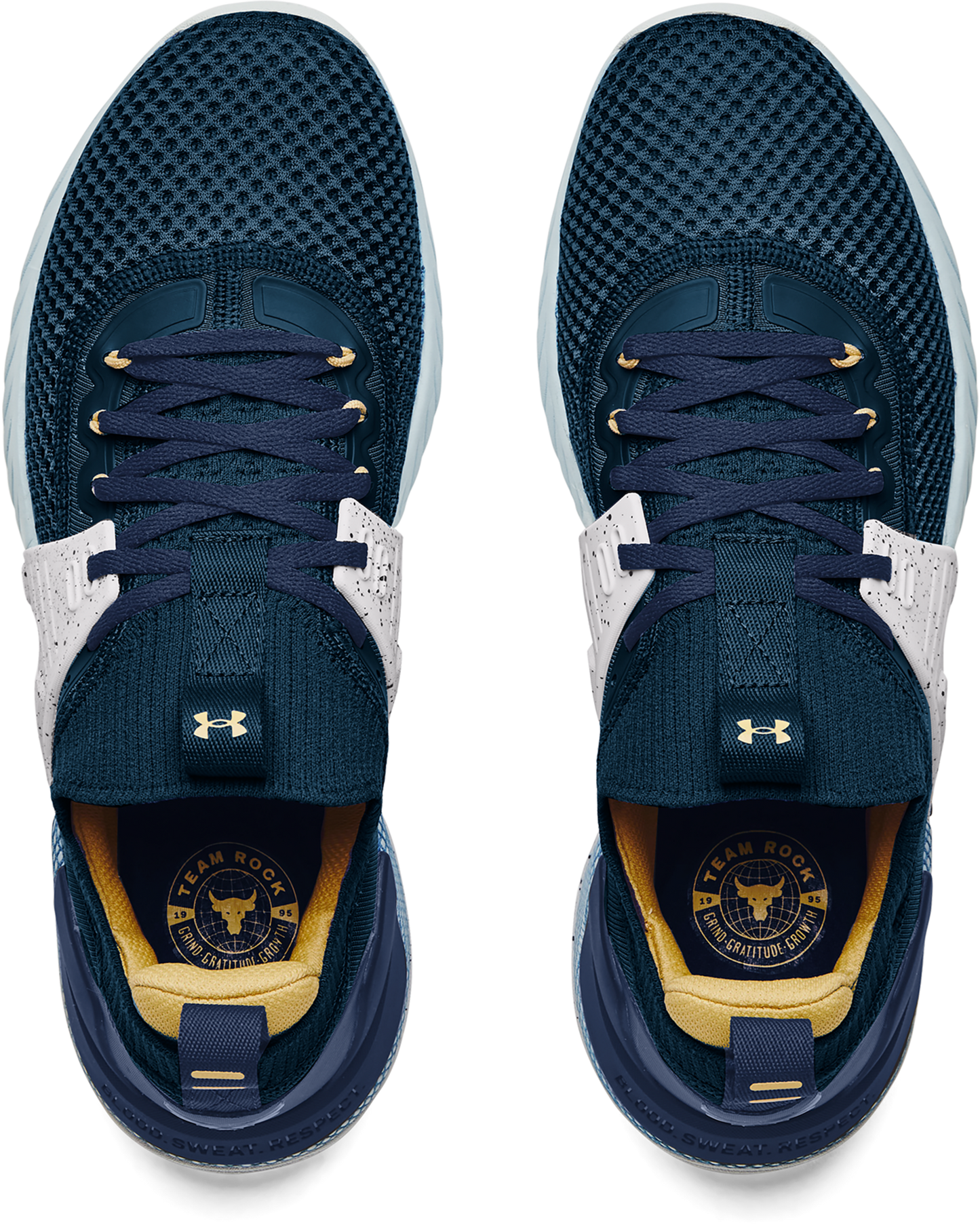 Men's Project Rock 4 Team Rock Training Shoes