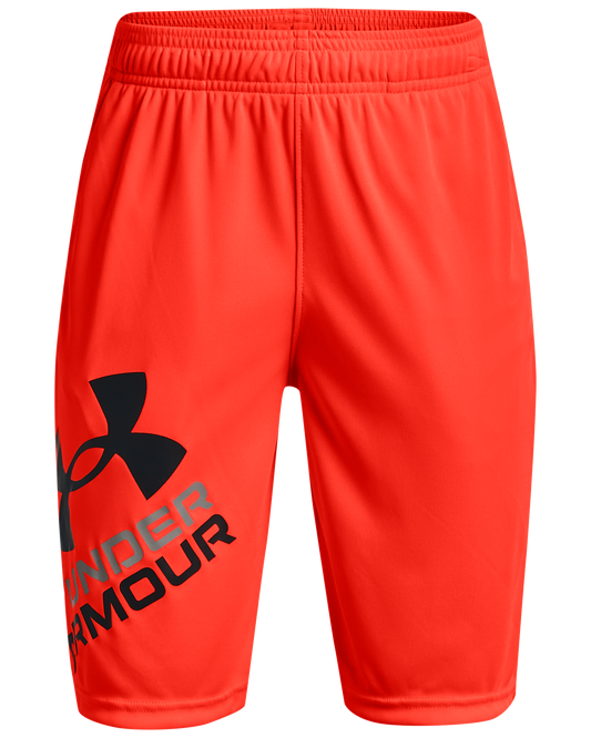 Boys' UA Prototype 2.0 Logo Shorts