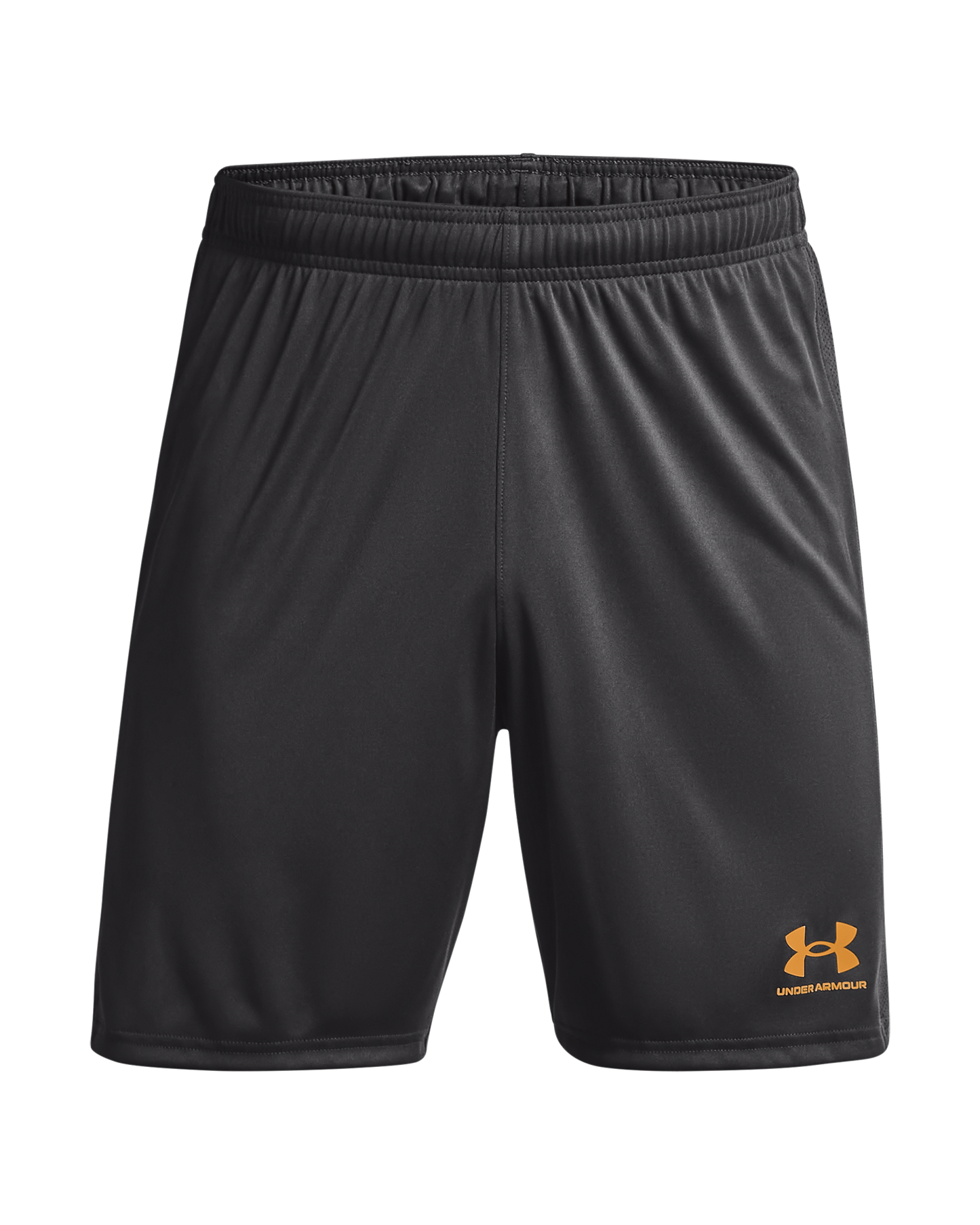 Men's UA Challenger Knit Shorts