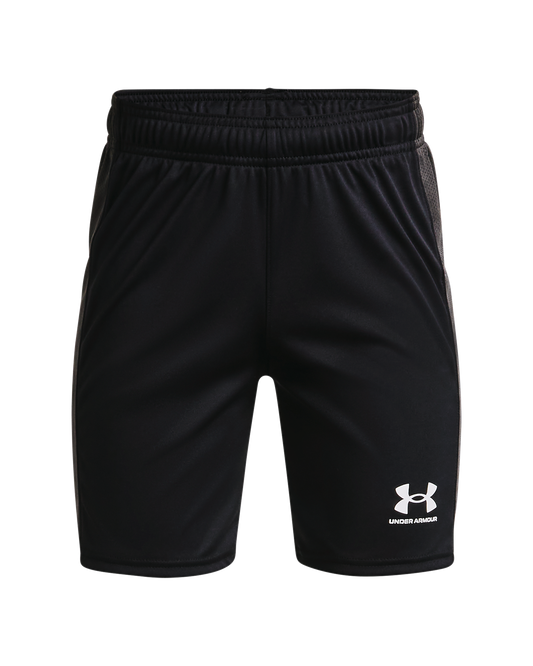 Youth UA Challenger Knit Shorts