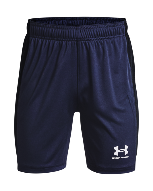 Youth UA Challenger Knit Shorts